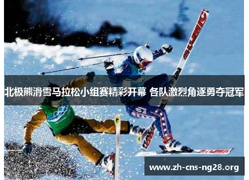北极熊滑雪马拉松小组赛精彩开幕 各队激烈角逐勇夺冠军 北极熊滑雪马拉松小组赛精彩开幕 各队激烈角逐勇夺冠军
