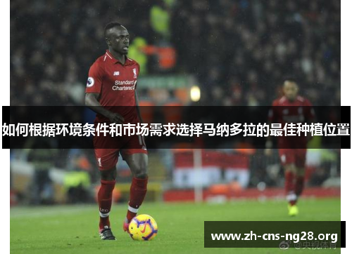 如何根据环境条件和市场需求选择马纳多拉的最佳种植位置 如何根据环境条件和市场需求选择马纳多拉的最佳种植位置